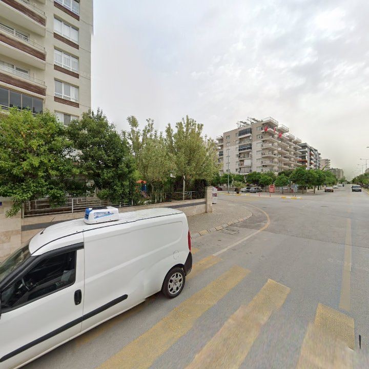 Fotoğraf 10