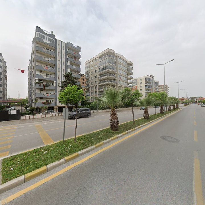 Fotoğraf 12