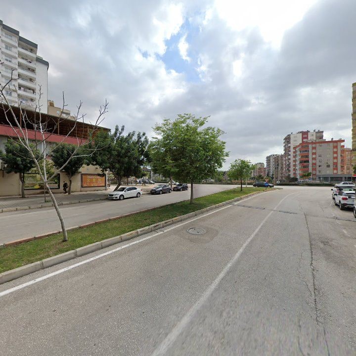 Fotoğraf 10