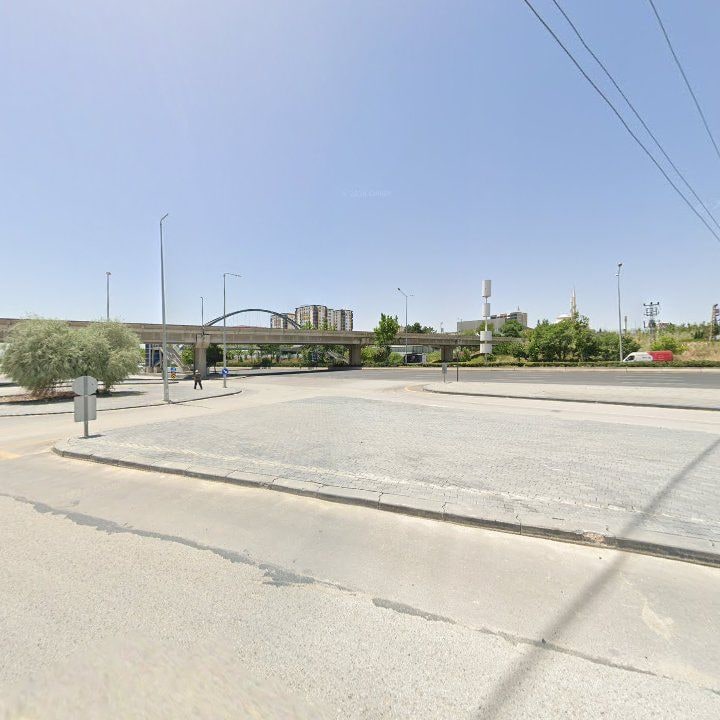 Fotoğraf 10