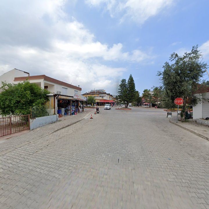 Fotoğraf 6