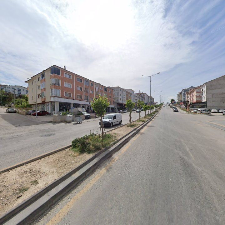 Fotoğraf 11