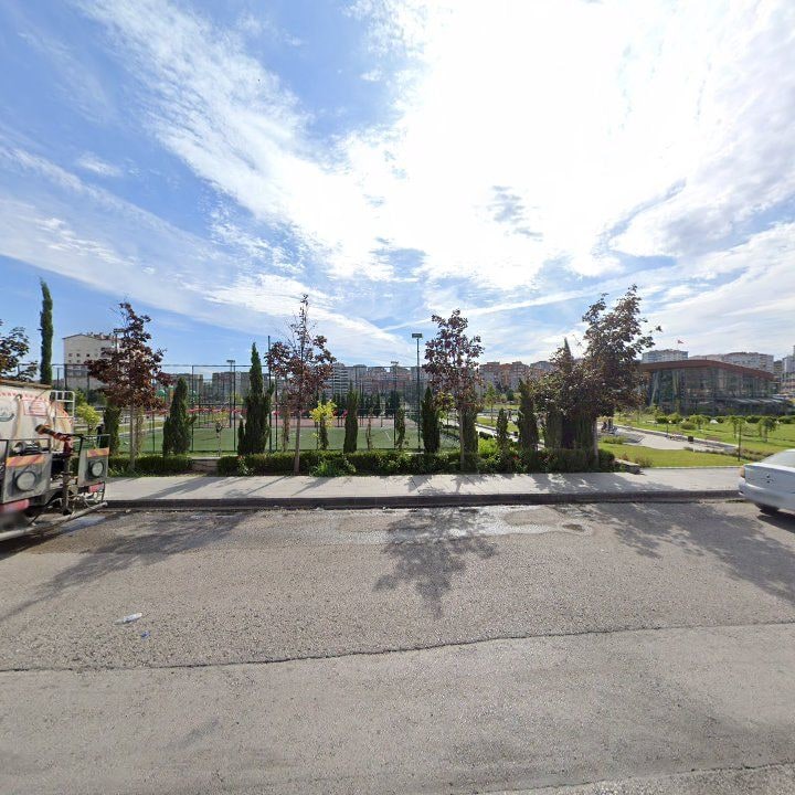 Fotoğraf 9
