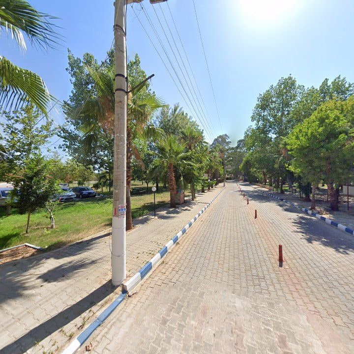 Fotoğraf 7