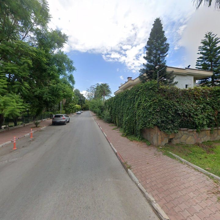 Fotoğraf 12