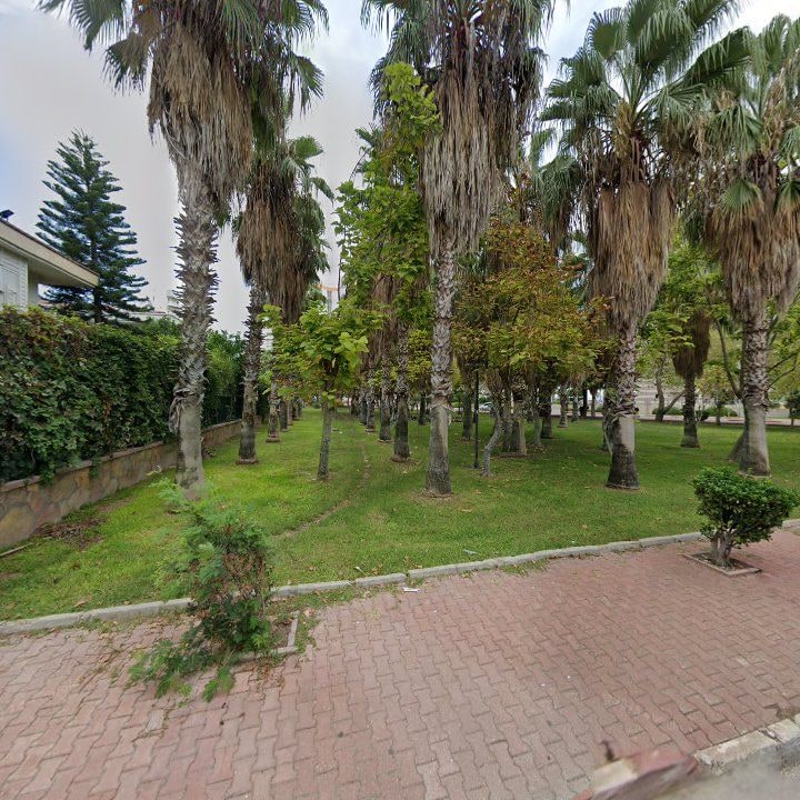 Fotoğraf 13