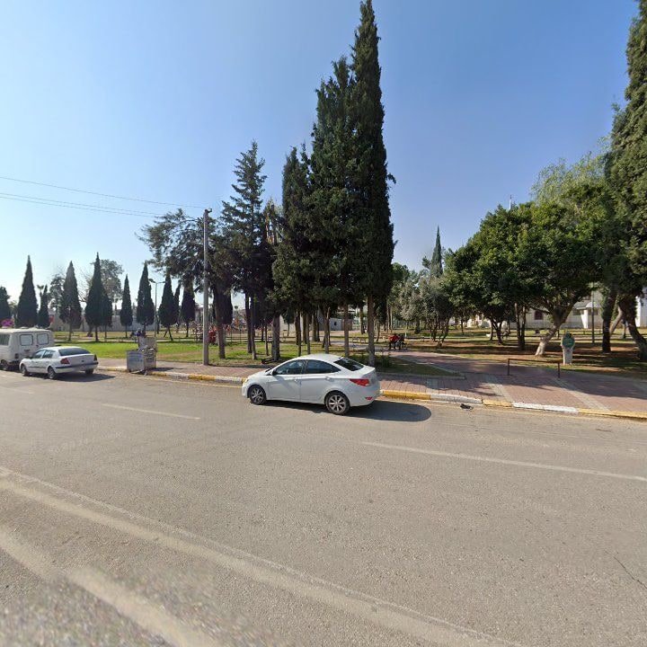Fotoğraf 8