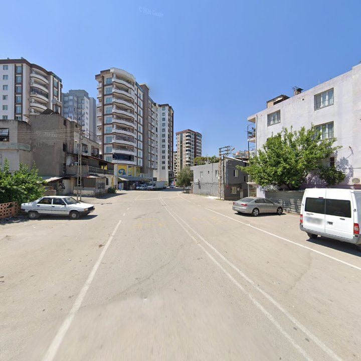 Fotoğraf 7