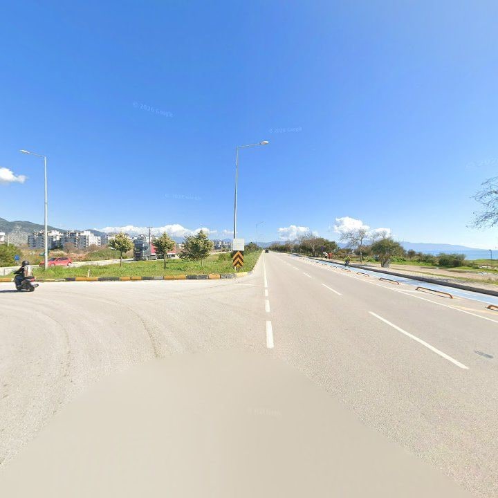 Fotoğraf 11