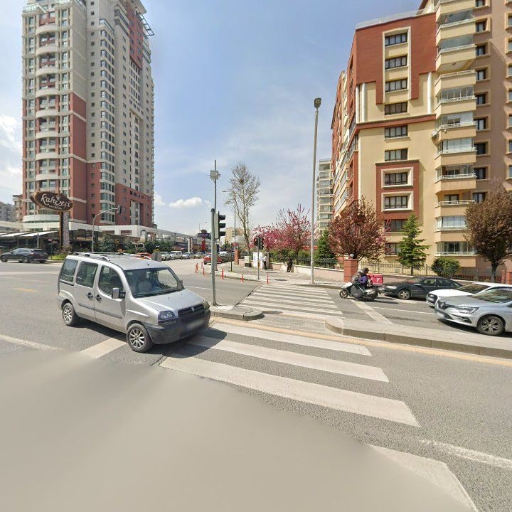 Fotoğraf 12