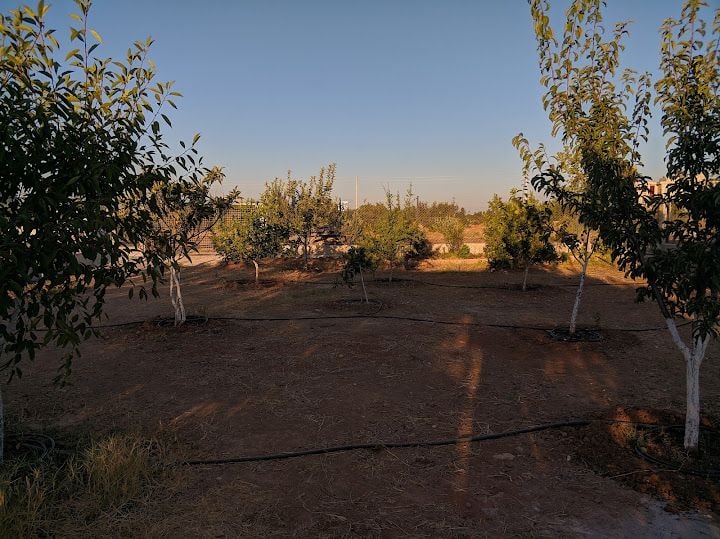 Mehmet'in Yeri