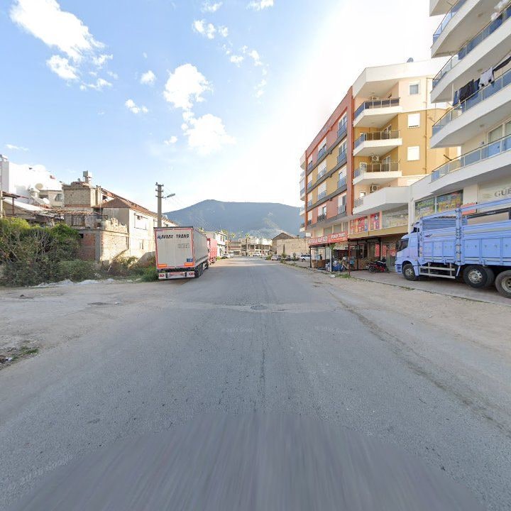 Fotoğraf 7