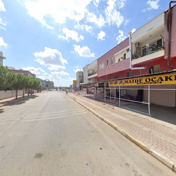 Fotoğraf 12