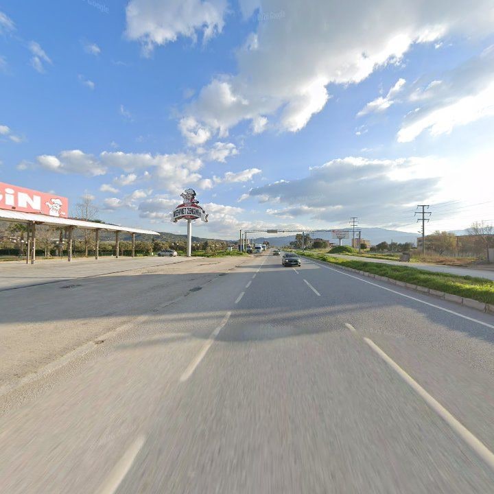 Fotoğraf 13