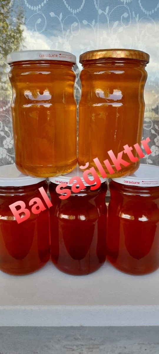 Mehmetalan Köyü Mangal Alanı