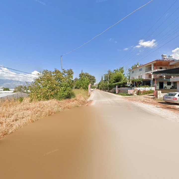 Fotoğraf 12