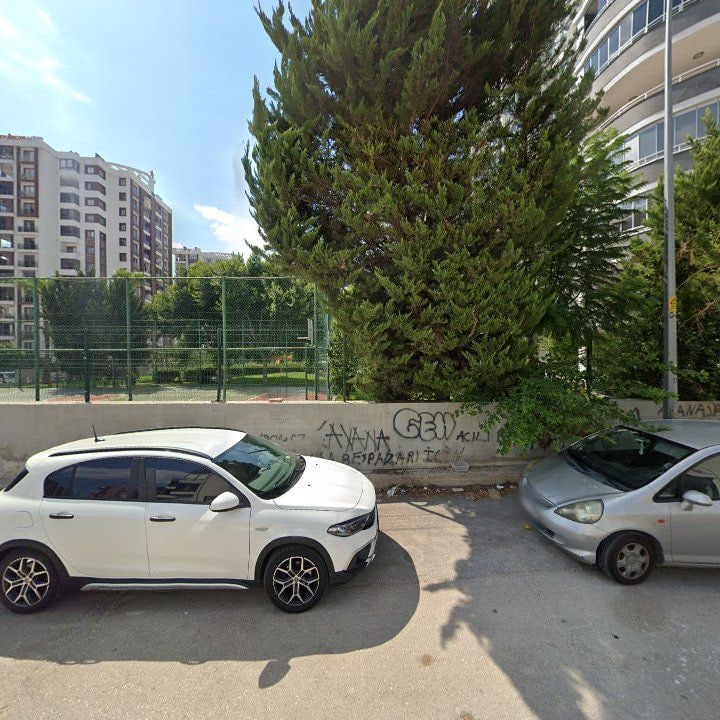 Fotoğraf 6