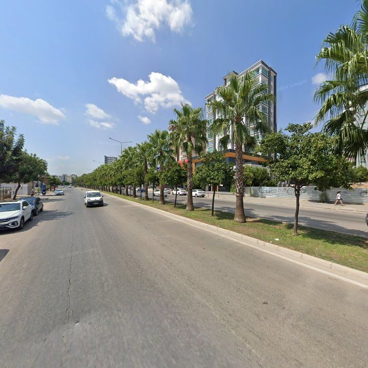 Fotoğraf 7