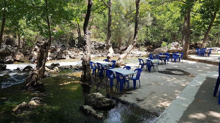 Melas Canlı Alabalık Restoran