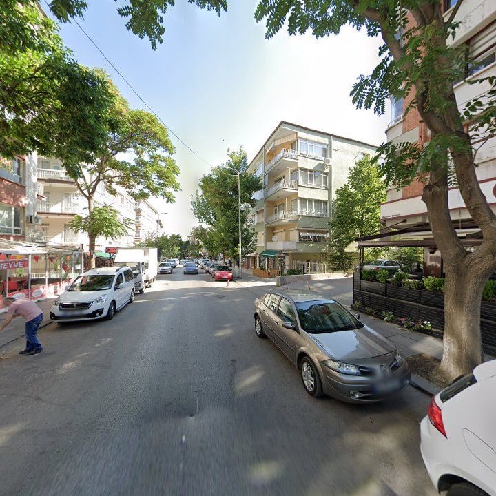 Fotoğraf 12