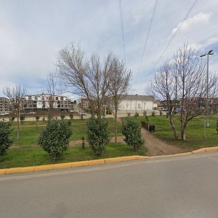 Fotoğraf 10