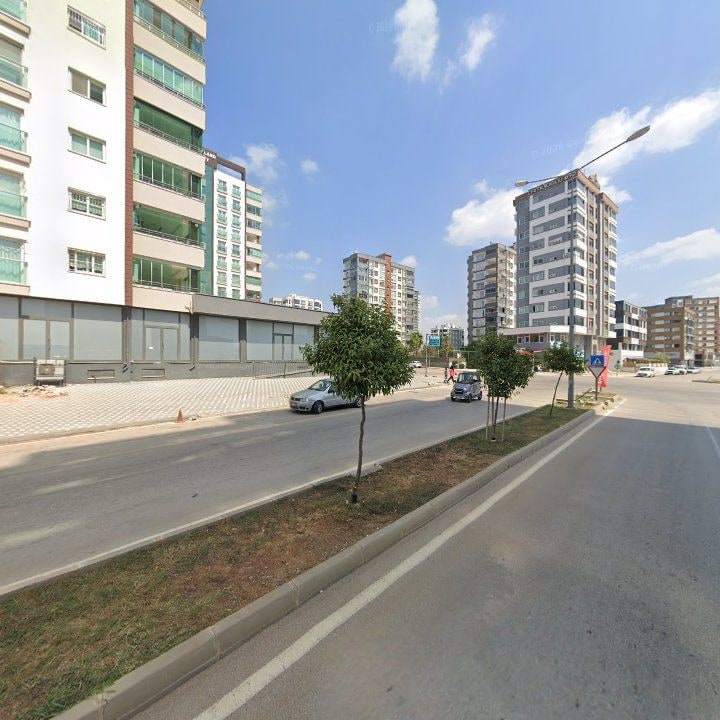 Fotoğraf 12