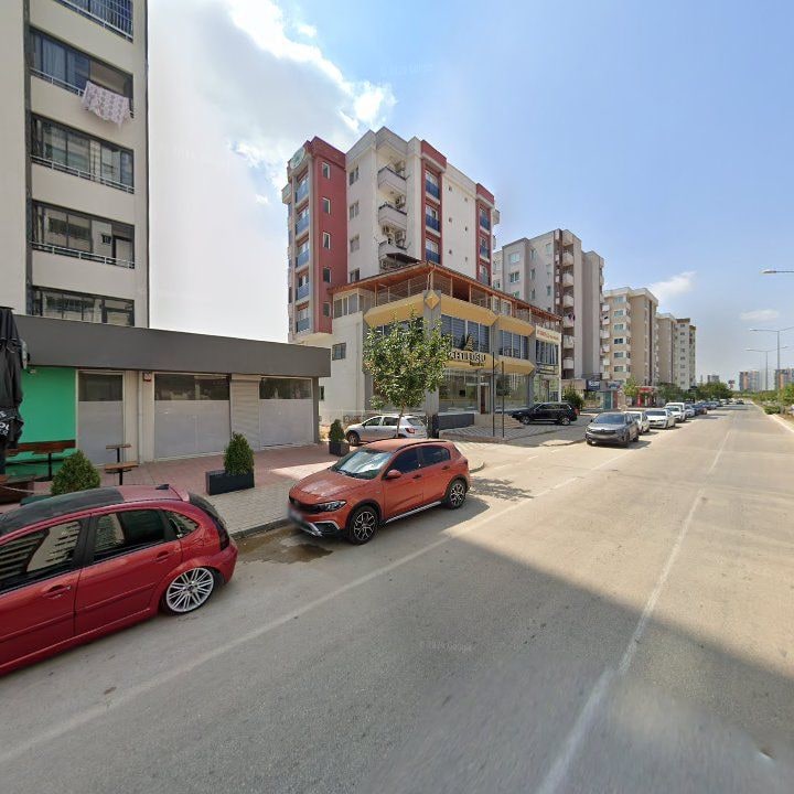 Fotoğraf 10