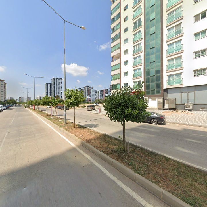 Fotoğraf 11