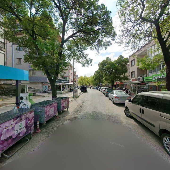 Fotoğraf 8