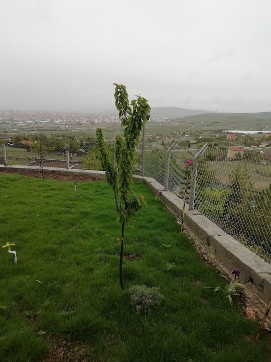 Menderes ÜLGER bahçe