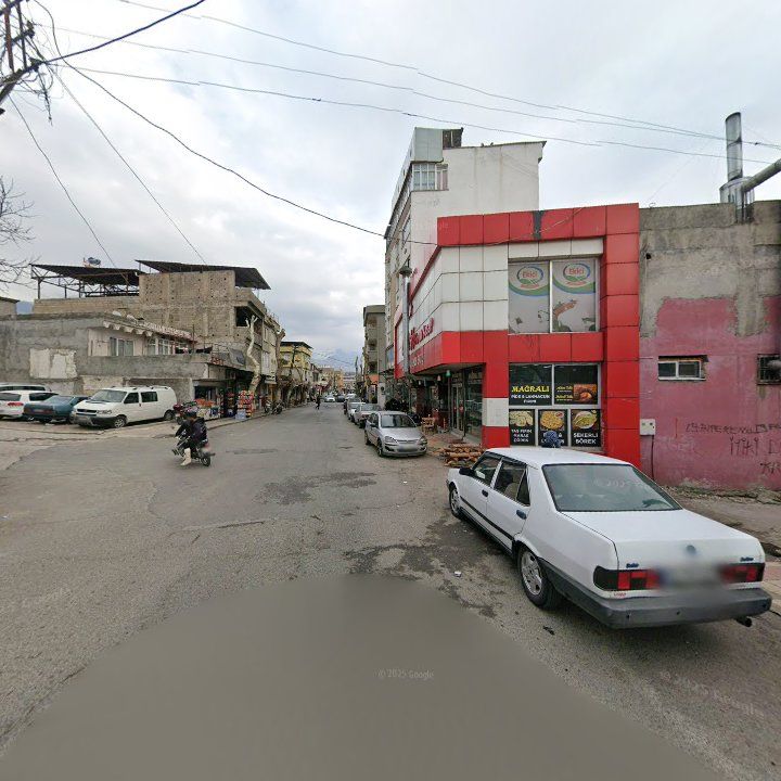 Fotoğraf 7