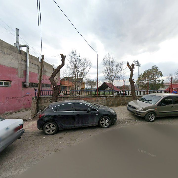 Fotoğraf 8