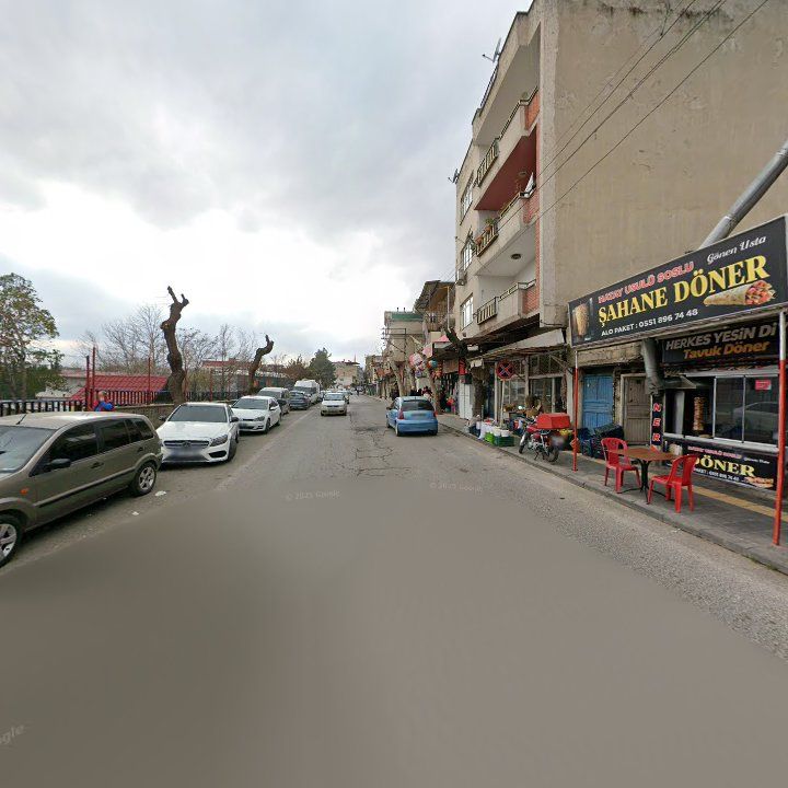 Fotoğraf 9