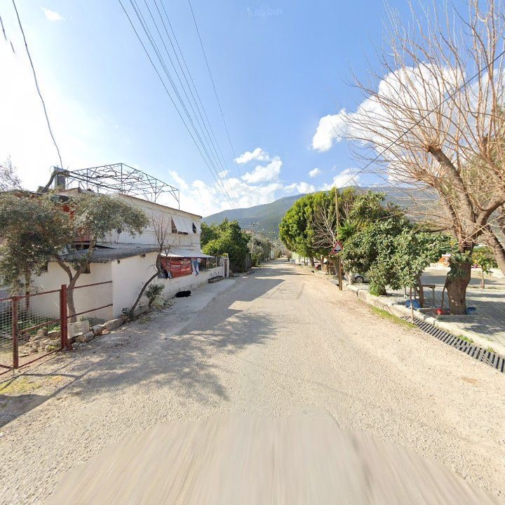 Fotoğraf 7