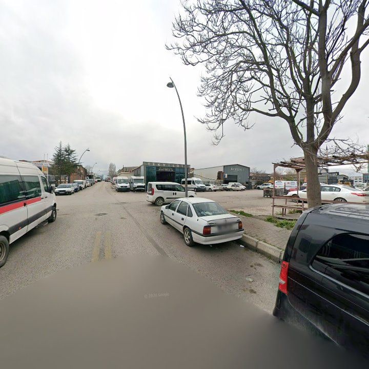 Fotoğraf 8