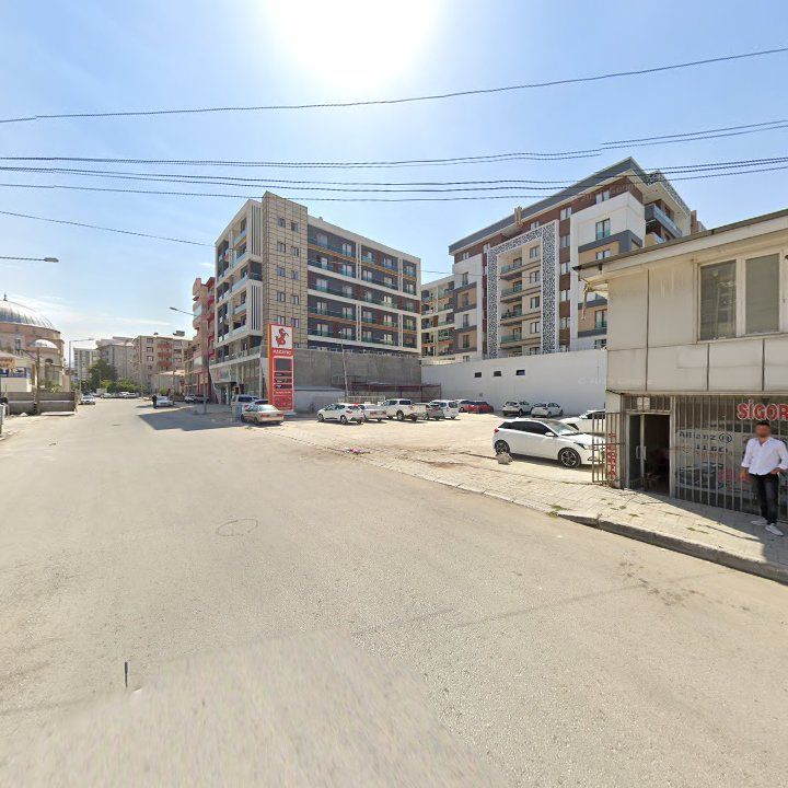Fotoğraf 7