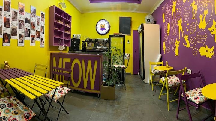 Meow Cafe