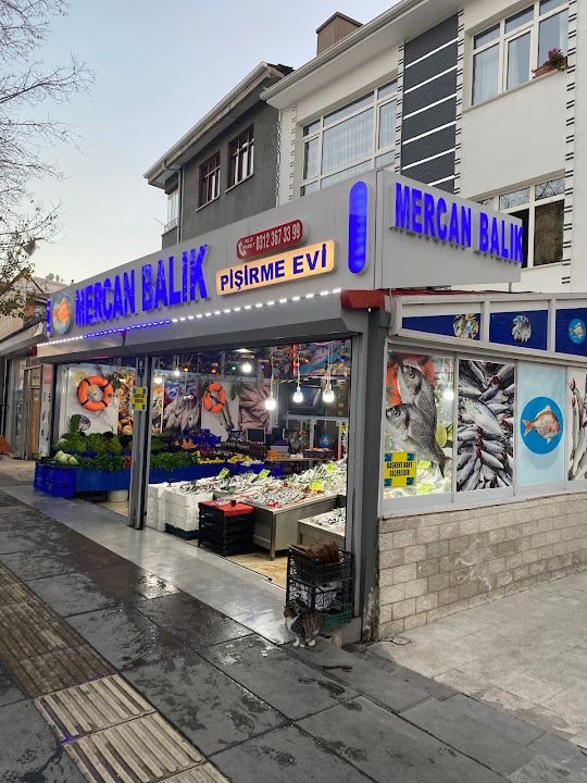 Mercan Balık Akdere