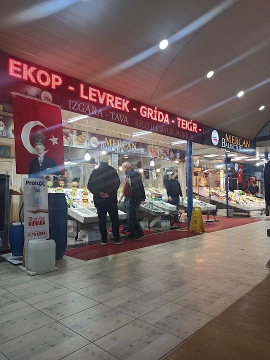 Mercan Balıkçılık