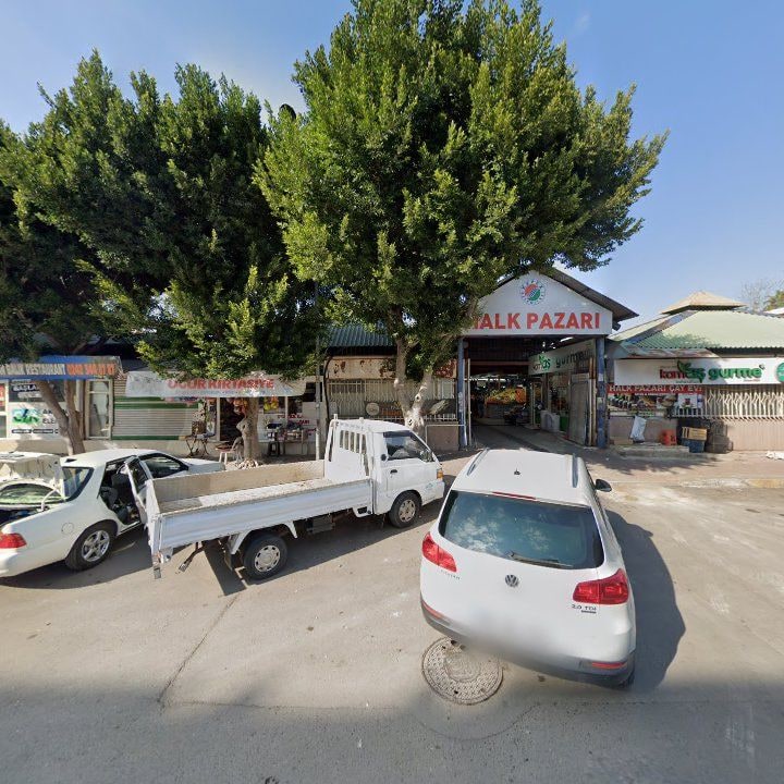 Fotoğraf 7