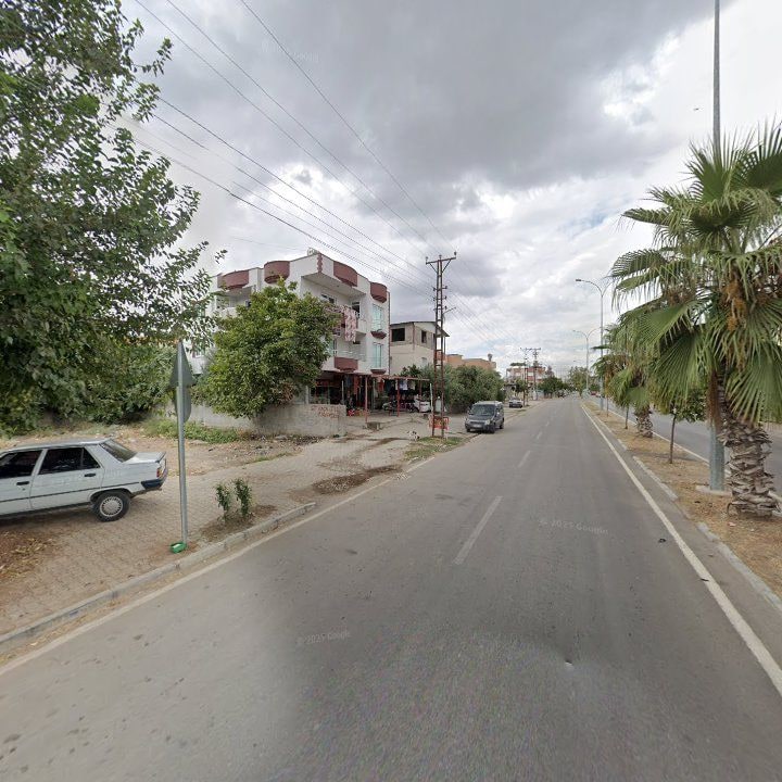 Fotoğraf 5