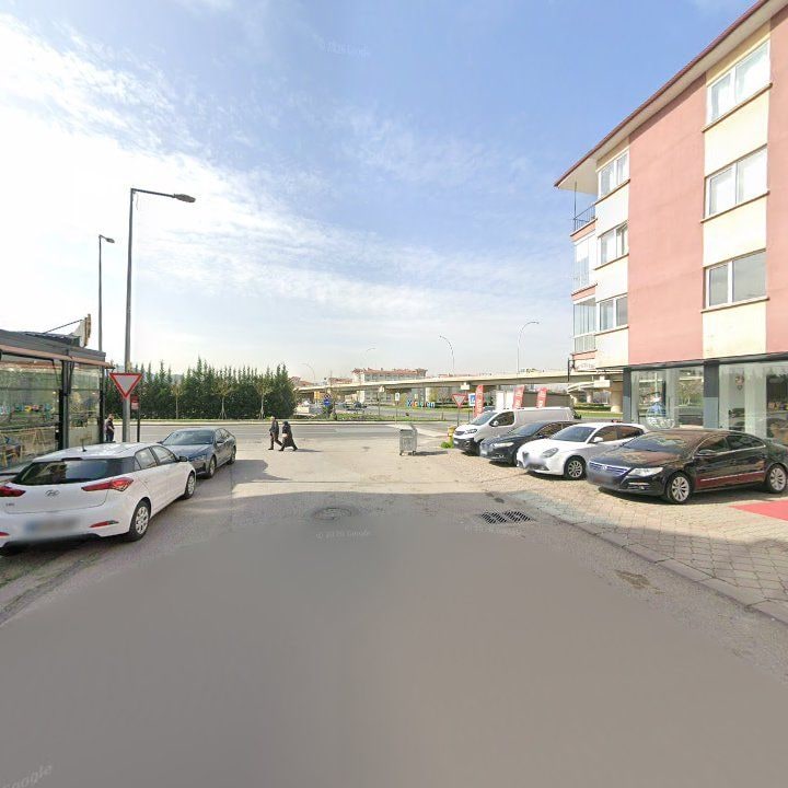 Fotoğraf 8