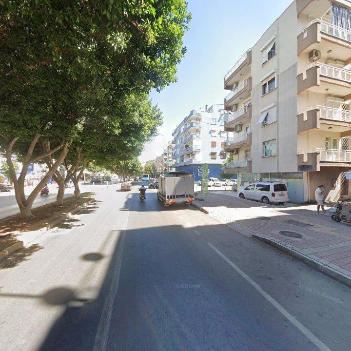 Fotoğraf 10