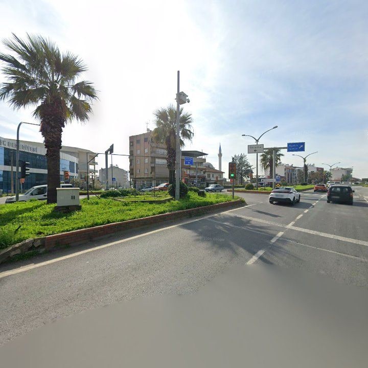 Fotoğraf 8