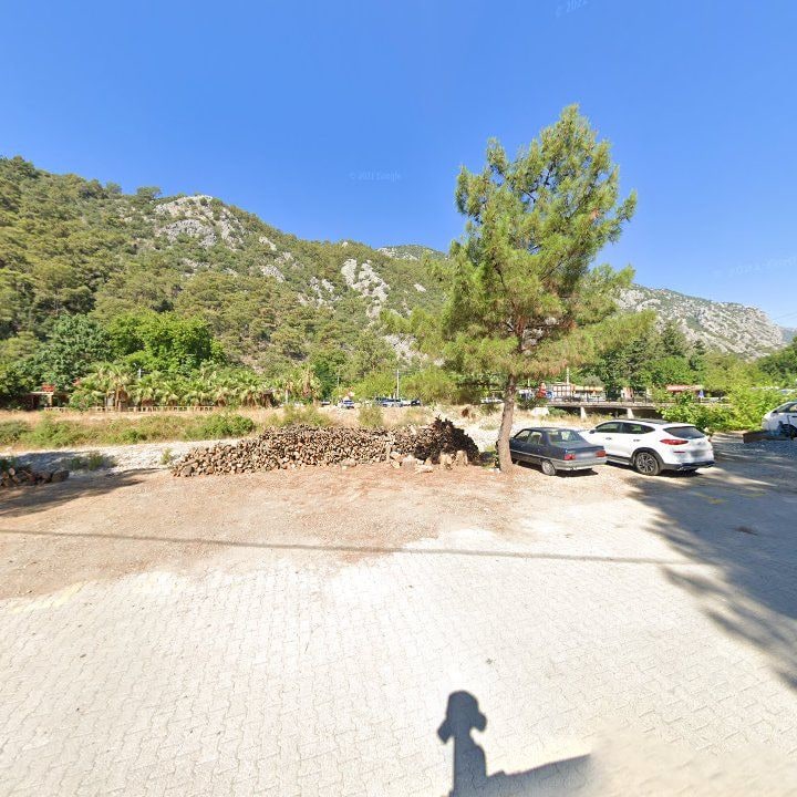 Fotoğraf 8
