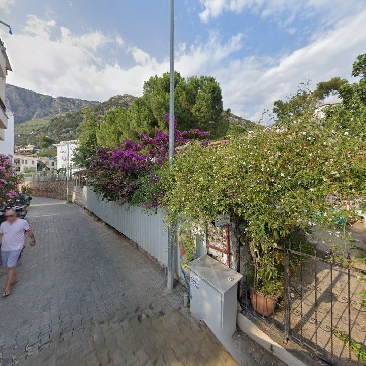 Fotoğraf 10