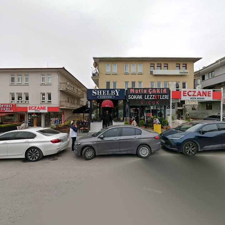 Fotoğraf 11