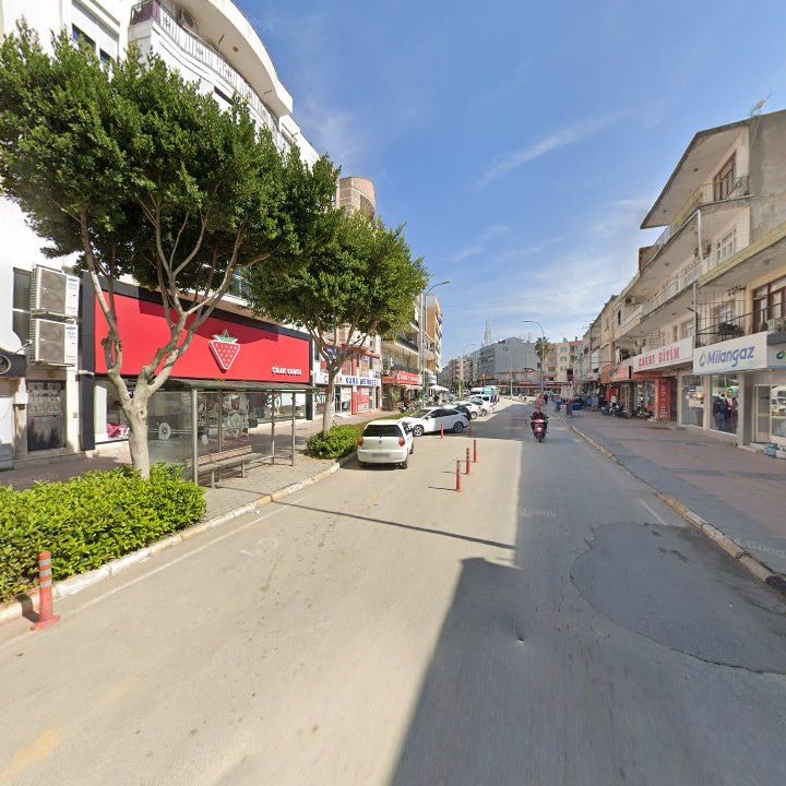 Fotoğraf 6