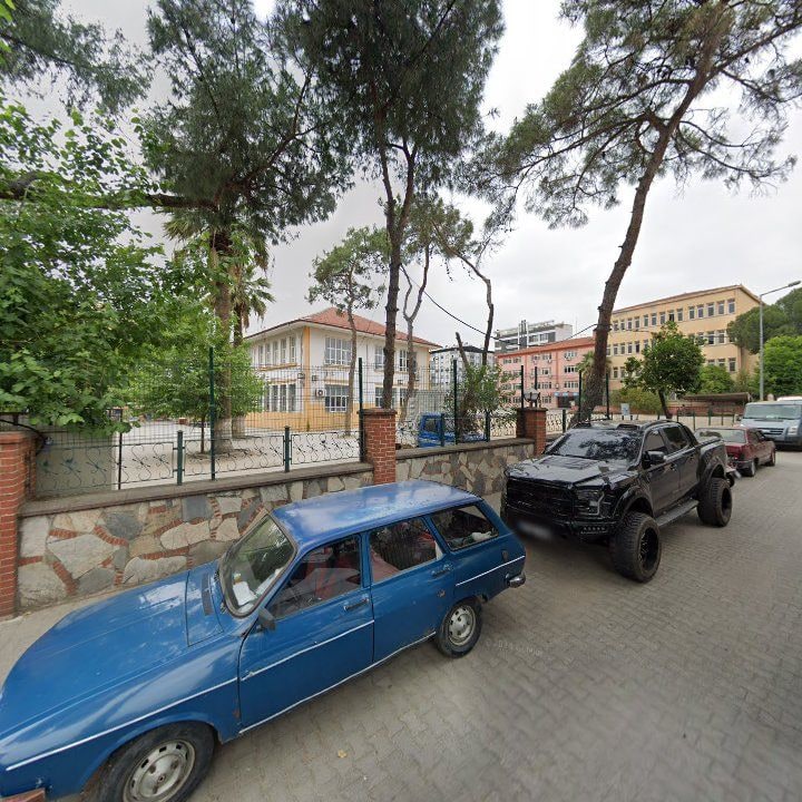 Fotoğraf 8
