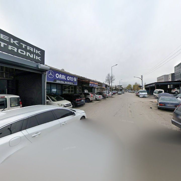 Fotoğraf 10